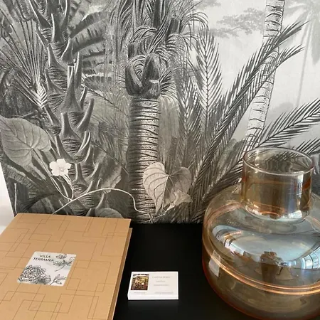 Location 3 Piscine Privee